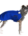 Italian Greyhound Winter Coat (Special Order Blue) - Voyagers K9 Apparel
