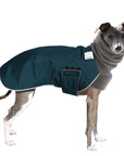 Italian Greyhound Winter Coat (Dark Teal) - Voyagers K9 Apparel