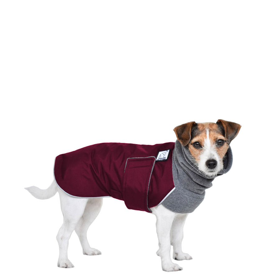 Jack Russell Terrier Winter Coat (Burgundy) - Voyagers K9 Apparel