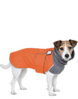 Jack Russell Terrier Winter Coat (Special Order Orange) - Voyagers K9 Apparel
