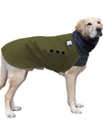 Labrador Retriever Winter Coat (Olive) - Voyagers K9 Apparel