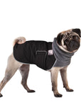 Pug Winter Coat (Black) - Voyagers K9 Apparel