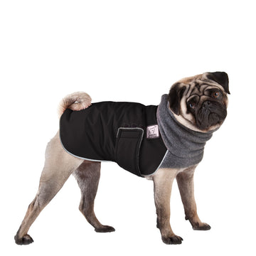Pug Winter Coat (Black) - Voyagers K9 Apparel
