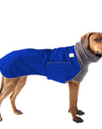 Rhodesian Ridgeback Winter Coat (Special Order Blue) - Voyagers K9 Apparel