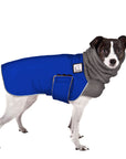 Rat Terrier Winter Coat (Special Order Blue) - Voyagers K9 Apparel