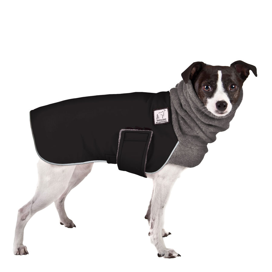 Rat Terrier Winter Coat (Black)- Voyagers K9 Apparel