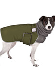 Rat Terrier Winter Coat (Olive) - Voyagers K9 Apparel