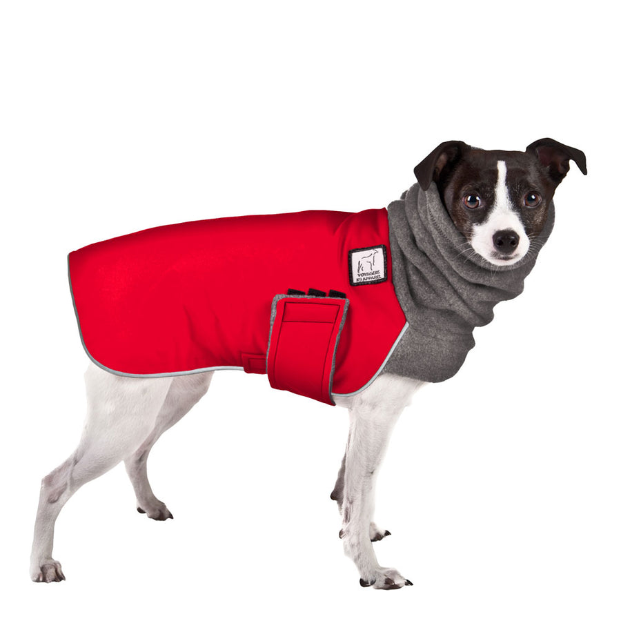 Rat Terrier Winter Coat (Red) - Voyagers K9 Apparel