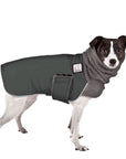 Rat Terrier Winter Coat (Special Order Smoke) - Voyagers K9 Apparel