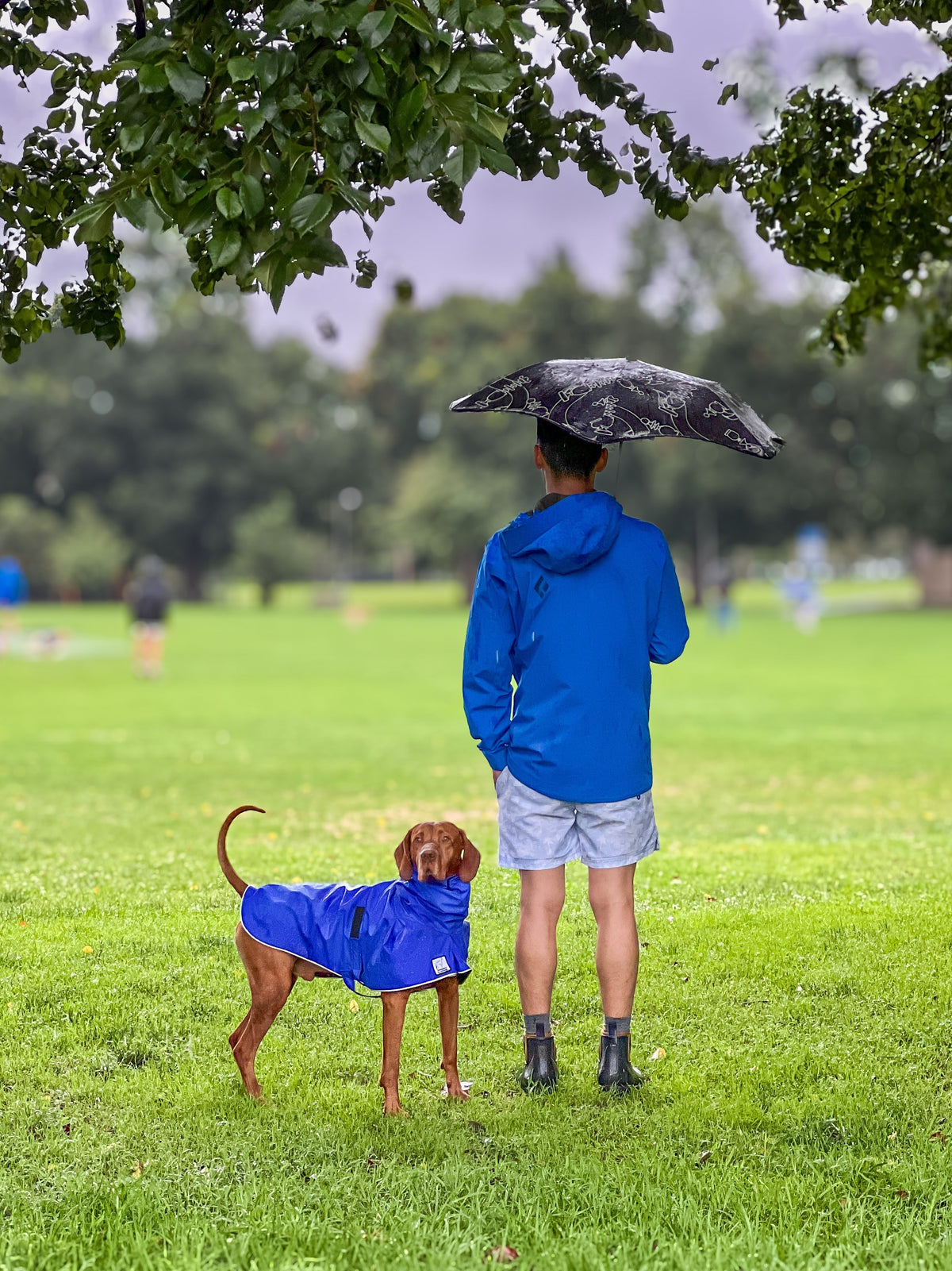 National Take a Walk in the Park Day