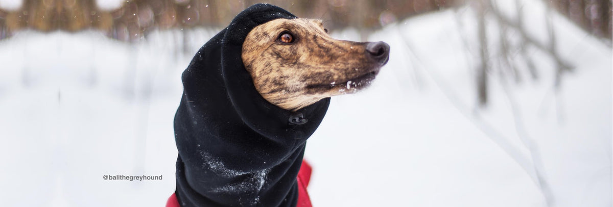 Voyager Dog Hoods