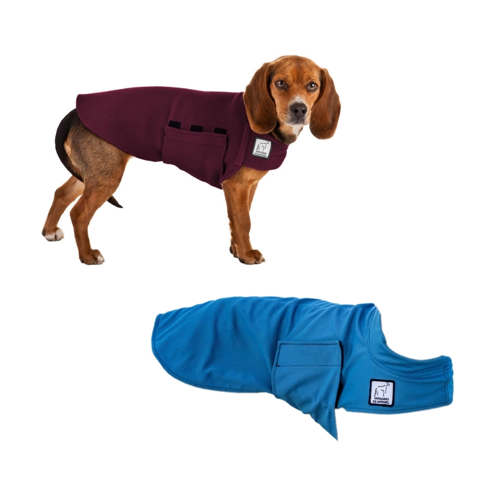 Beagle Hiker Bundle