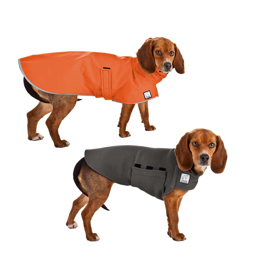 Beagle Camper Bundle