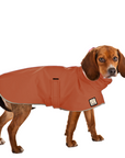 Beagle Raincoat