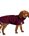 Beagle Raincoat