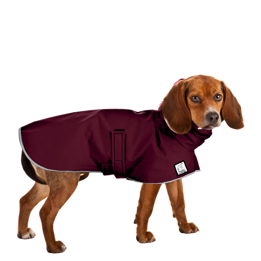 Beagle Raincoat