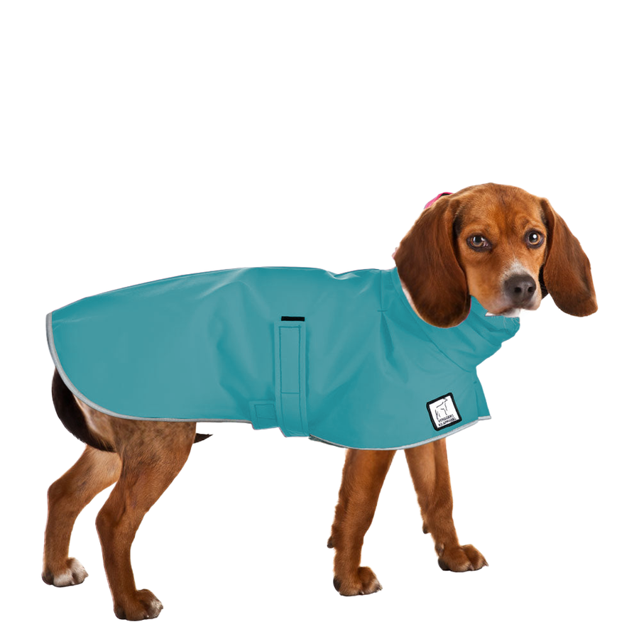 Beagle Raincoat