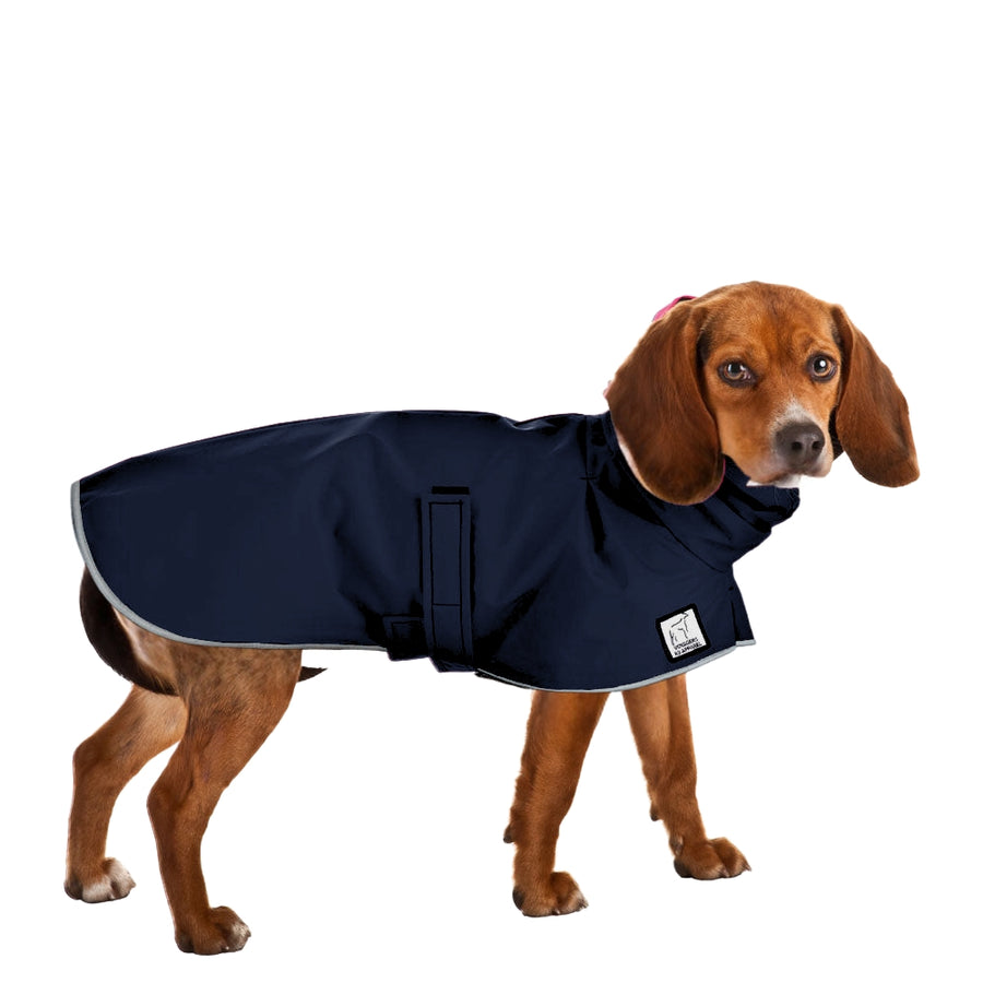Beagle Raincoat