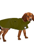 Beagle Raincoat