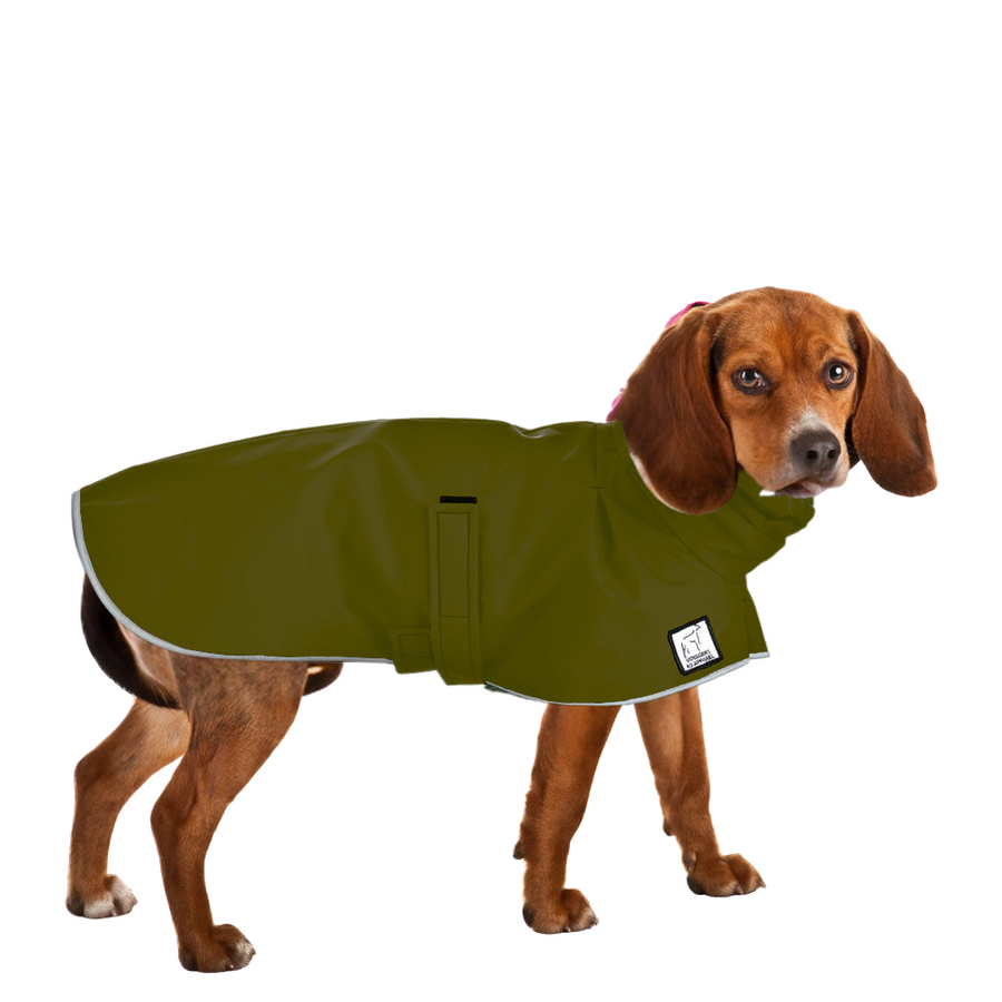 Beagle Raincoat