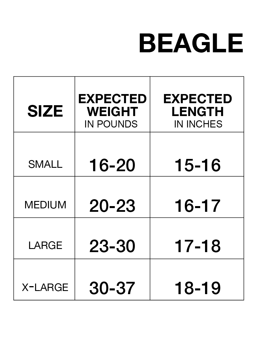 Beagle Tummy Warmer