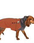 Beagle Winter Coat