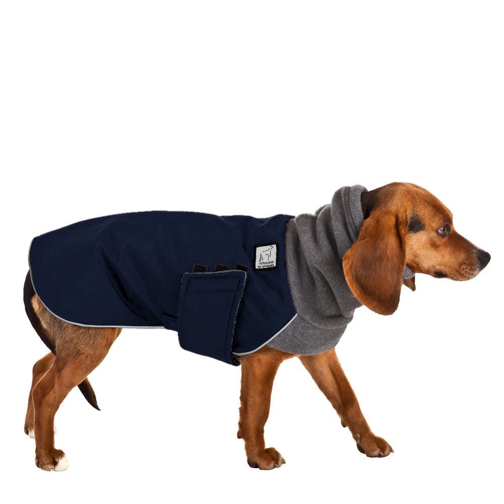 Beagle Winter Coat