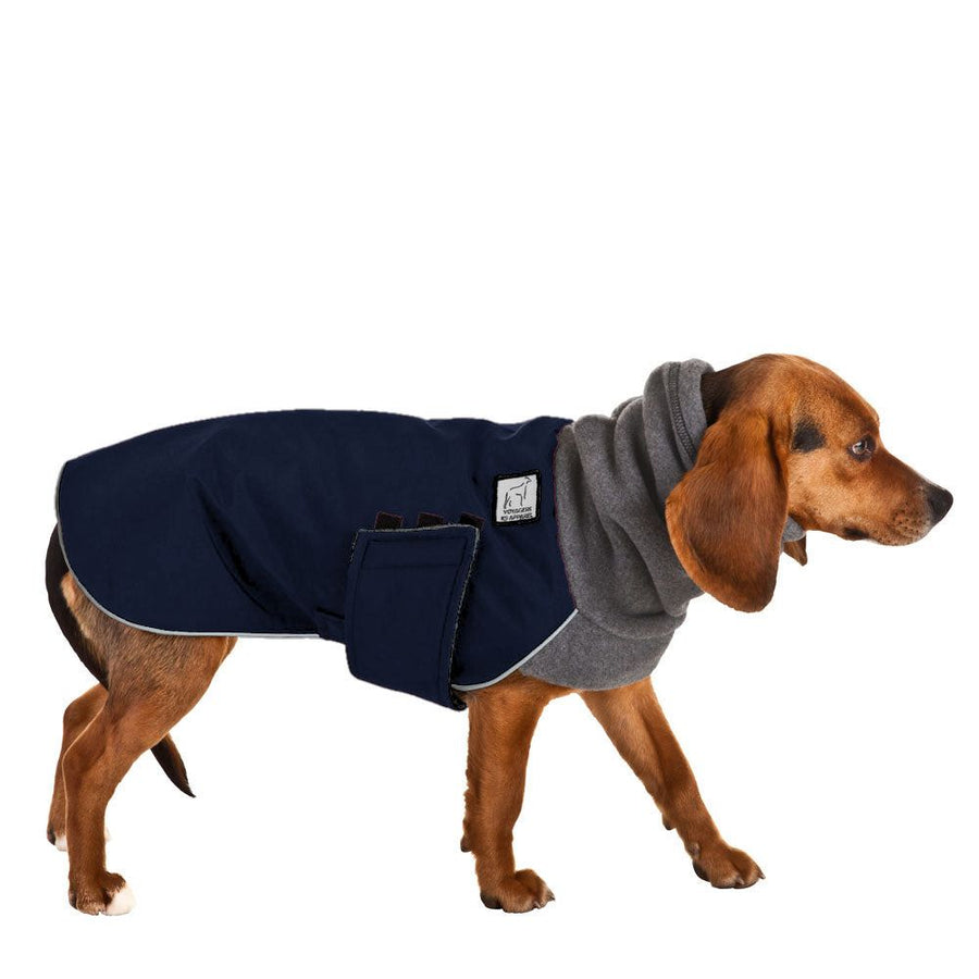 Beagle Winter Coat
