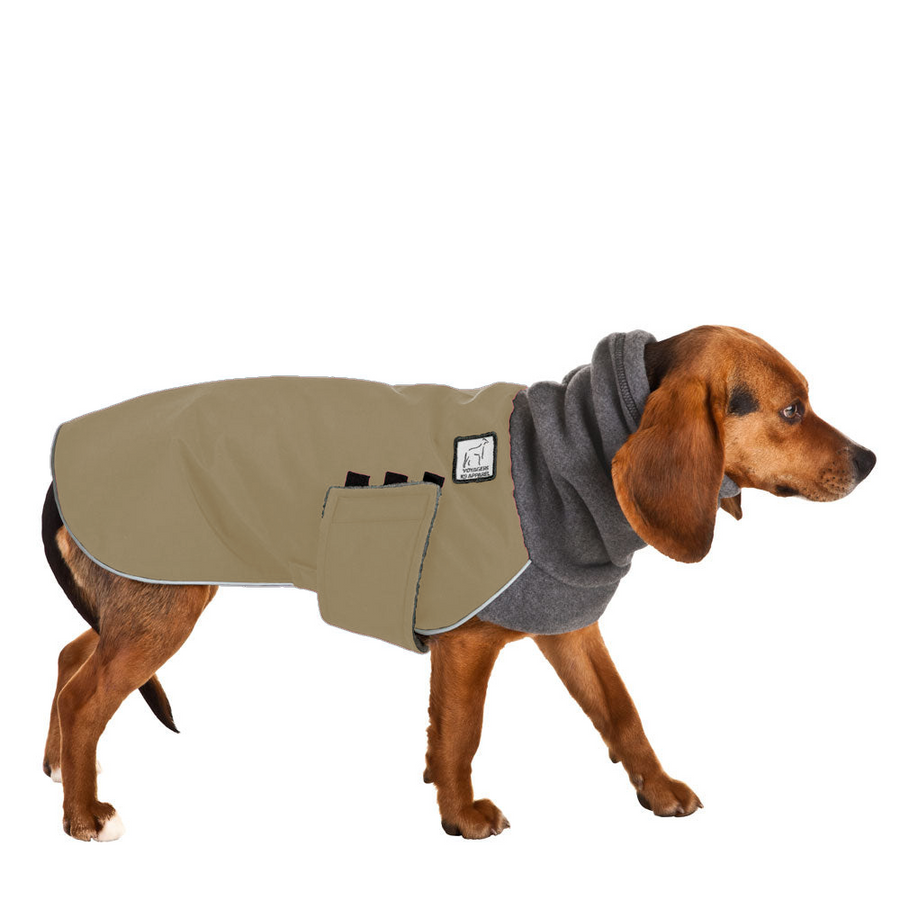 Beagle Winter Coat