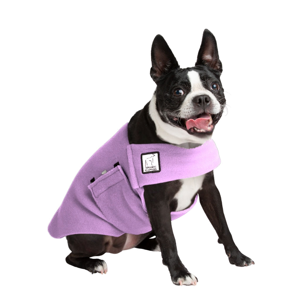 Boston Terrier Tummy Warmer