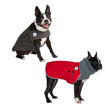 Boston Terrier Rover Bundle