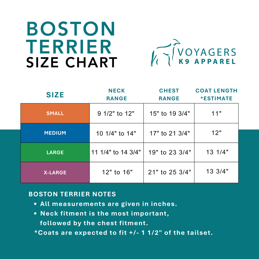 Boston Terrier Winter Coat
