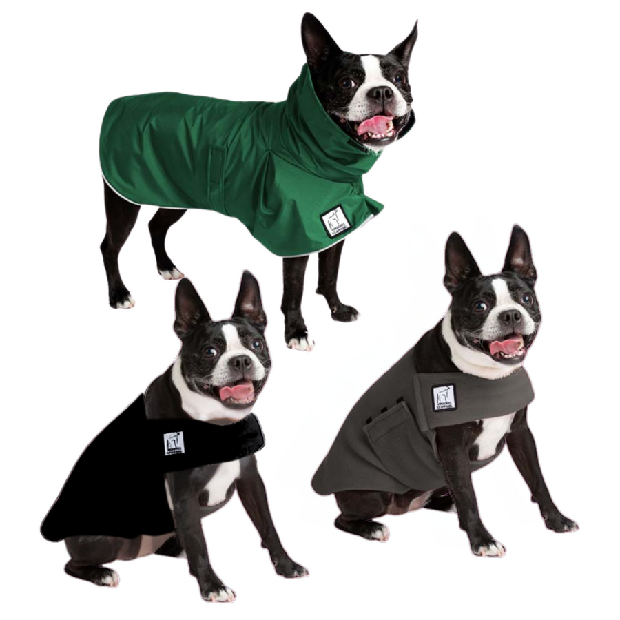 Boston Terrier Fall Essentials Bundle