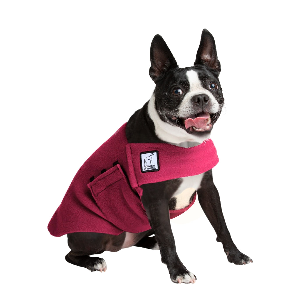 Boston Terrier Tummy Warmer