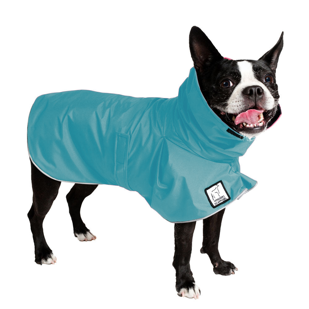 Boston Terrier Raincoat