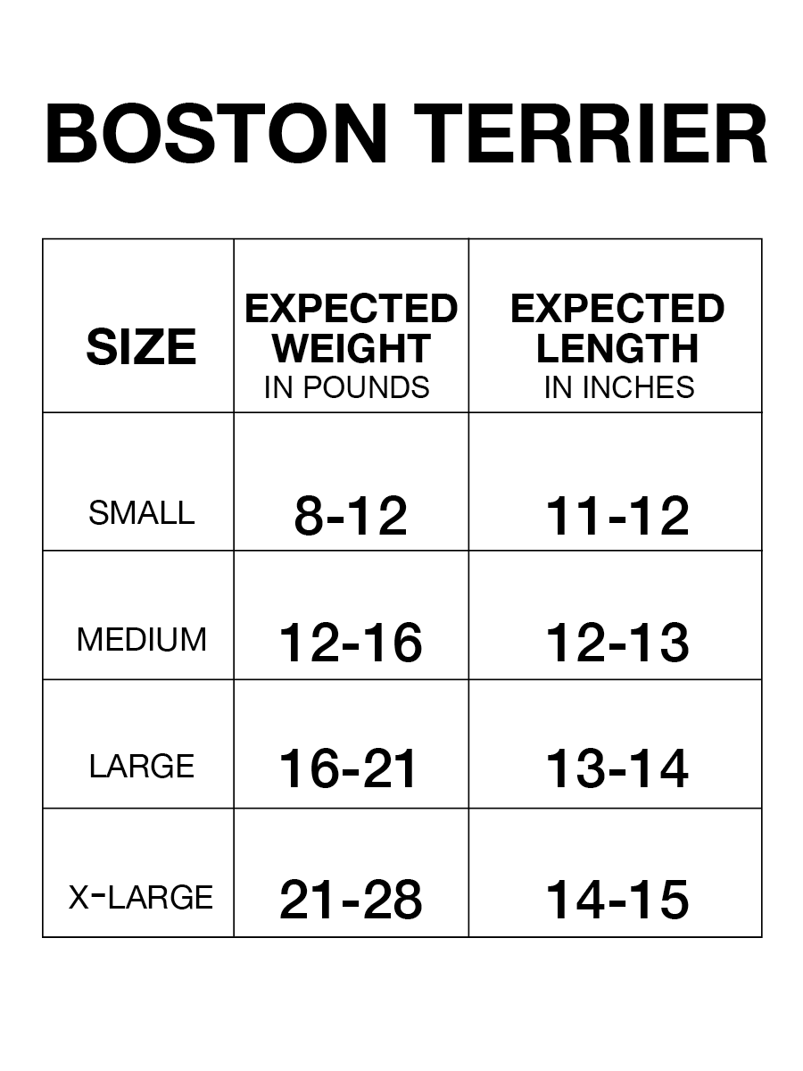 Boston Terrier Tummy Warmer