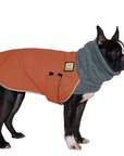 Boston Terrier Winter Coat