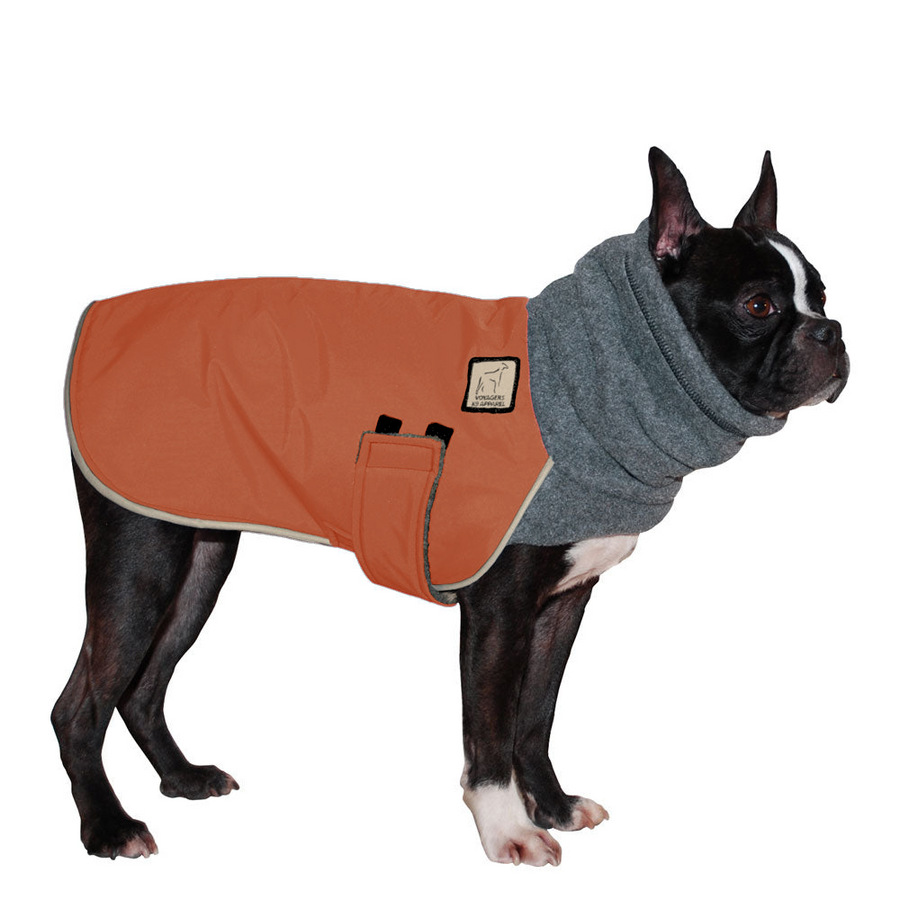 Boston Terrier Warm Dog Winter Coat Voyagers K9 Apparel