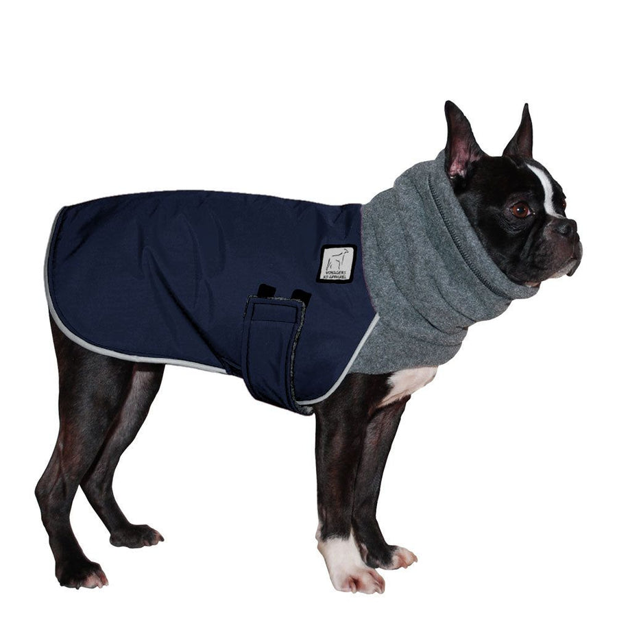 Boston Terrier Warm Dog Winter Coat – Voyagers K9 Apparel