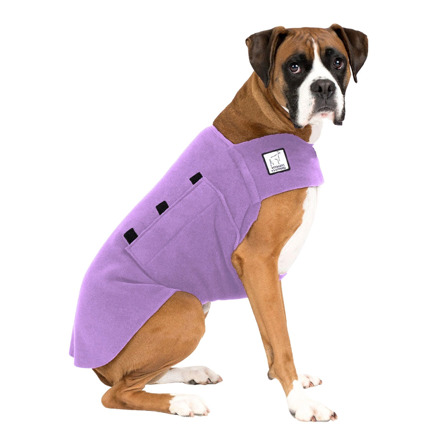 Boxer Tummy Warmer