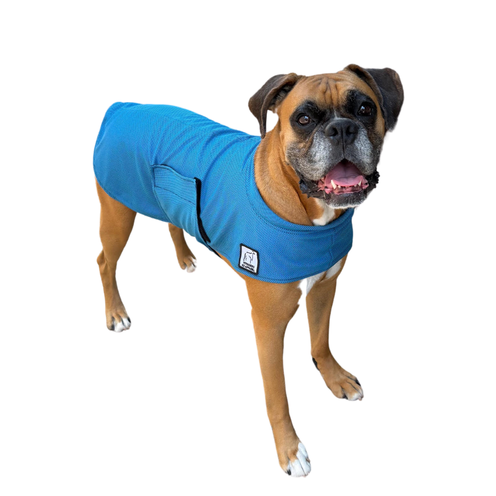 Boxer Cooling Coat