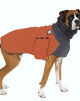 Boxer Winter Coat