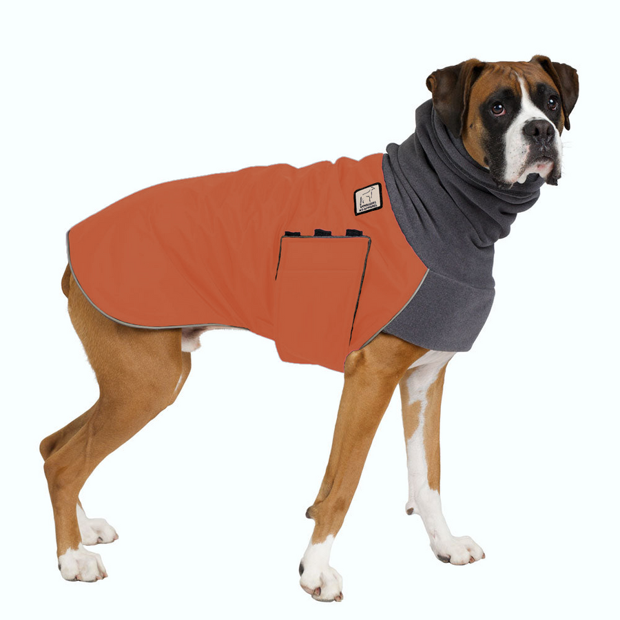 Boxer Winter Coat