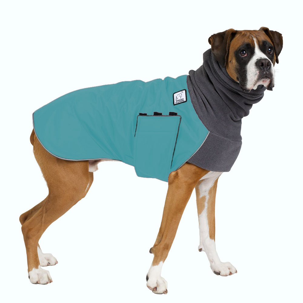Boxer Winter Coat