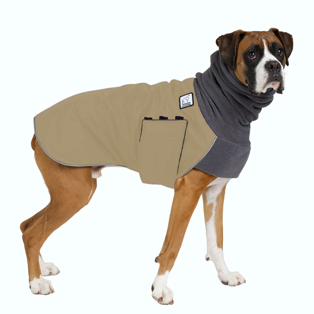 Boxer Winter Coat