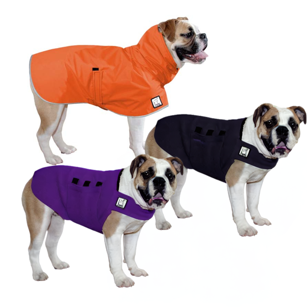 English Bulldog Wanderer Bundle