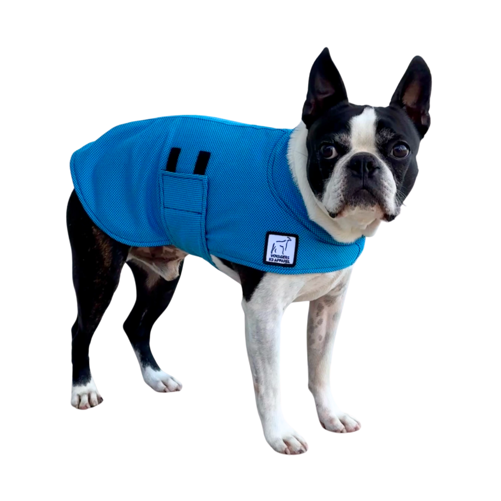 Boston Terrier Cooling Coat