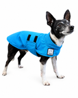 Chihuahua Cooling Coat
