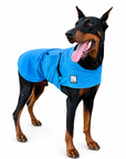 Doberman Pinscher Cooling Coat