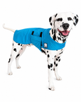 Dalmatian Cooling Coat